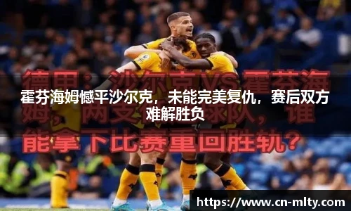 霍芬海姆憾平沙尔克，未能完美复仇，赛后双方难解胜负