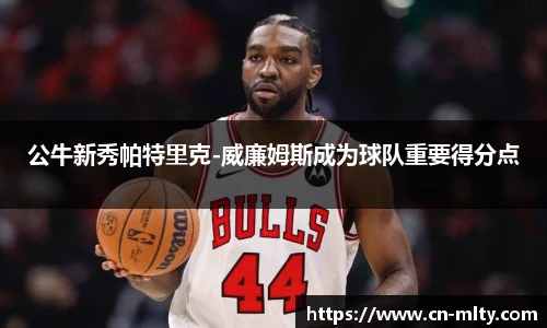 公牛新秀帕特里克-威廉姆斯成为球队重要得分点