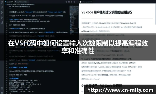 在VS代码中如何设置输入次数限制以提高编程效率和准确性